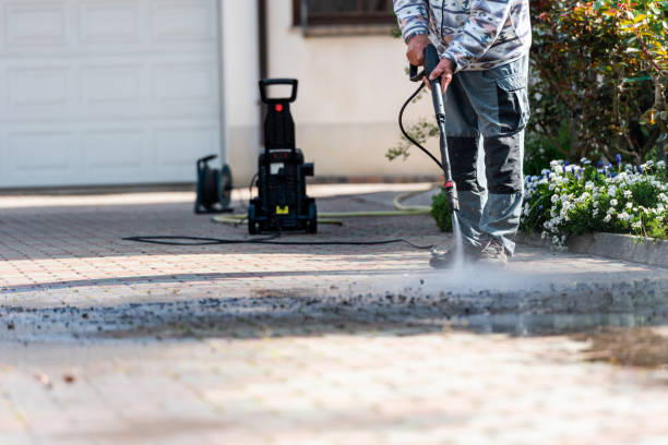 Best Pressure Washing Near Me  in , DE